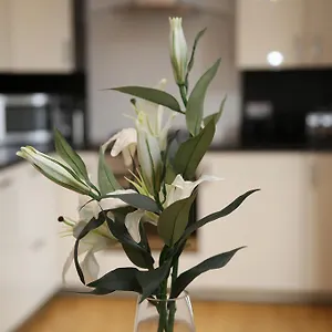 Apartment Dalry House, EDI
